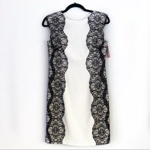 Phoebe Couture white sheath black lace dress NEW 4